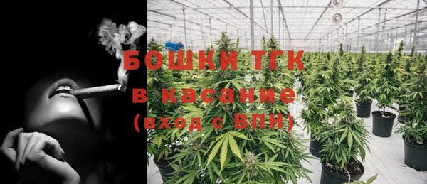 сатива Карталы
