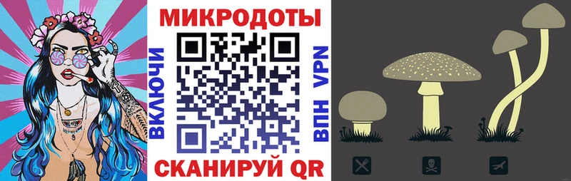 Псилоцибиновые грибы MAGIC MUSHROOMS  mega онион  Полевской 